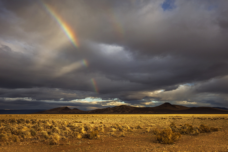 Desert Rainbow - Oregon